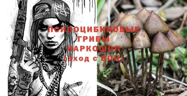 СК Бородино